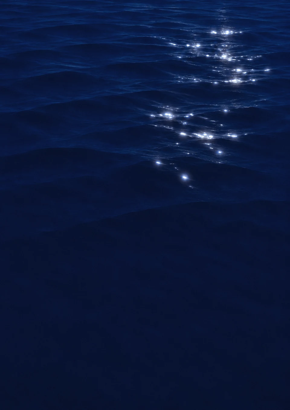 夜の水面