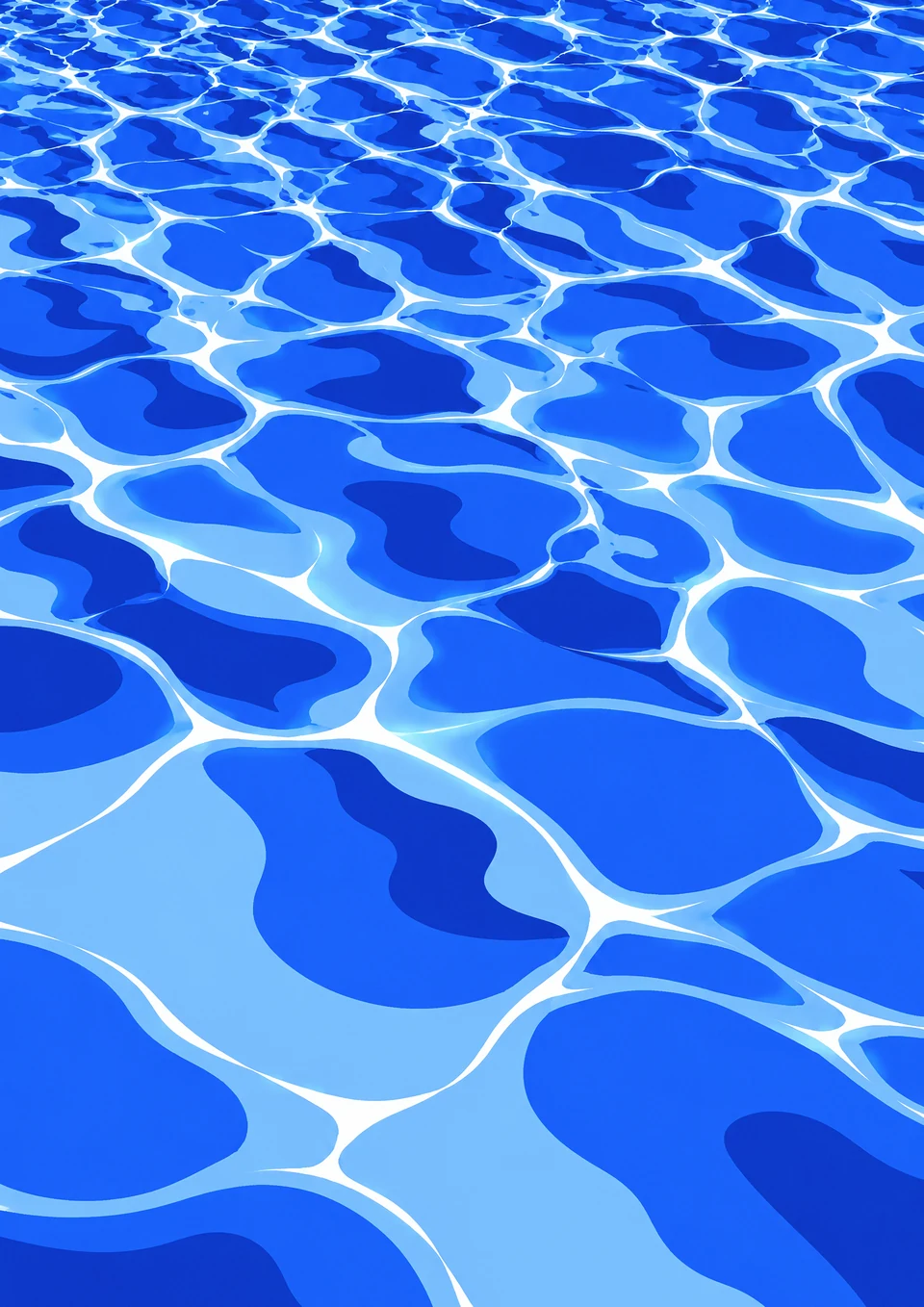 真昼の浅い水