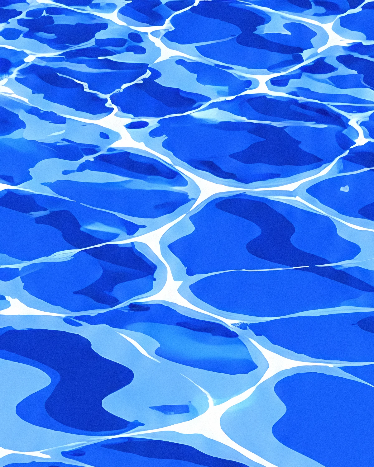 真昼の浅い水の原寸の一部